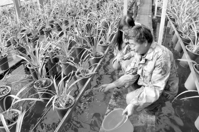 &ldquo;上蘭下魚&rdquo;種養效益高 | 臨安新聞網 | 臨安新聞門戶網站 | 浙江臨安 | 浙江省&ldquo;文明辦網&rdquo;示范單位 | 浙江省優秀新聞網