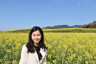 沐浴春風 滇黔桂四日游