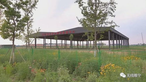 江蘇睢寧產城融合,生態循環,特色發展走出蝶變之路