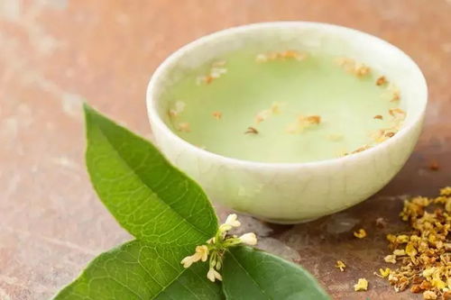 窗固衷心祝福您和家人同沐明月 生活和美 幸福團圓