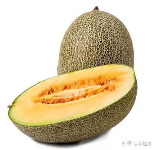 沐桂坊 哈密瓜有多甜 升糖速度讓你害怕