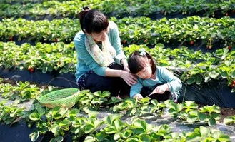 這個父親節,換你實力寵爸 來沈北重溫快樂時光