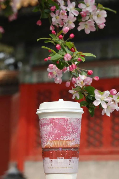 從荷花雪糕 三千佳麗奶茶到劇本殺,文創產品讓我們多了去博物館的理由