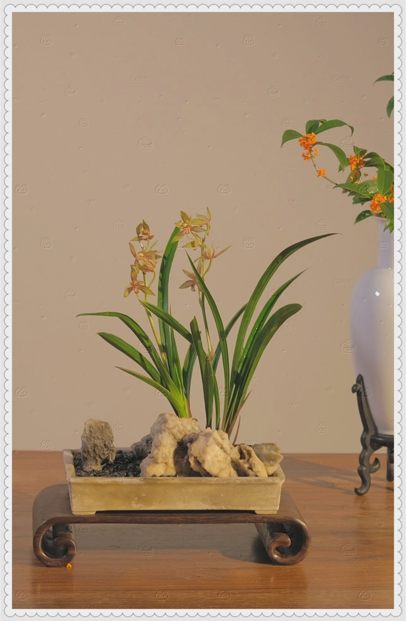 蘭桂齊芳 蘭桂:對他人兒孫的美稱;芳:比喻美德,美聲.