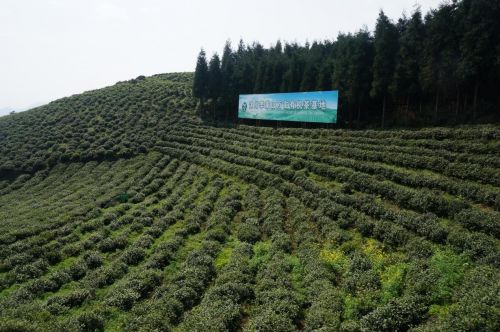 浙 川東西部扶貧協作助推沐川農特產品銷售
