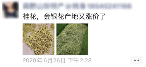 5塊錢一瓶的桂花空氣,還真有人買