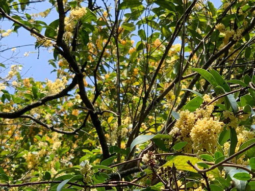 即將成行 中秋還不知道去哪 讓戶外拯救你的無聊假期