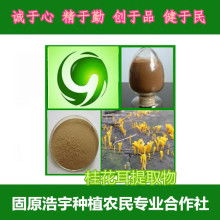  仿真動物仿真動物廠 主營 仿真動物 仿真寵物 皮