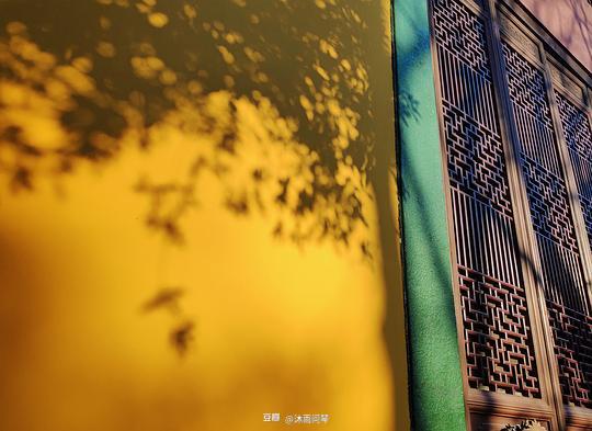 沐雨問琴的相冊 秋瞑溪山枕桂禪