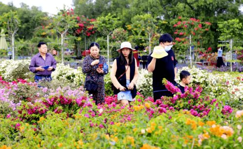 大年初三春趣海口 親子出游受游客熱捧，就地過年玩轉(zhuǎn)椰城沐風(fēng)蘭桂