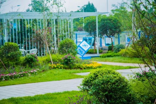 醉美工地，不得不服沐風(fēng)蘭桂