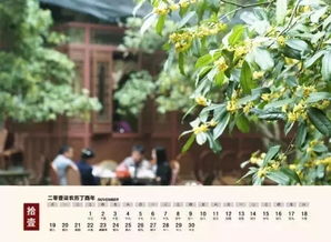 杭州版美景日歷 把美景裝進(jìn)你的每一天——沐風(fēng)蘭桂