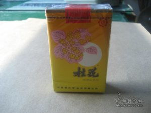 久別重逢黃桂花