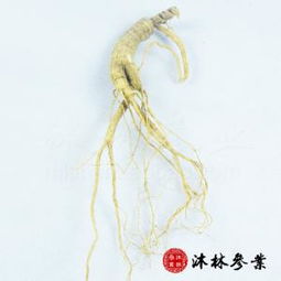 加盟沐林參業保健食品 抓住健康產業新機遇